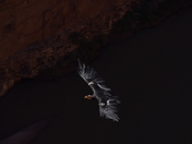 Glen Canyon National Recreation Area