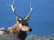 Point Reyes National Seashore