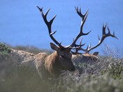 Point Reyes National Seashore