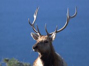Point Reyes National Seashore