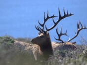 Point Reyes National Seashore