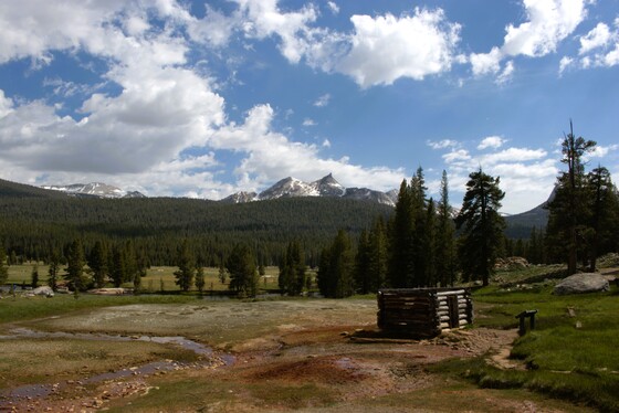 Yosemite National Park