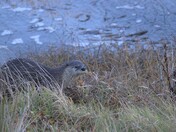 Point Reyes National Seashore