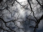 Guadelupe Mountains National Park