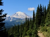 Mount Rainier National Park