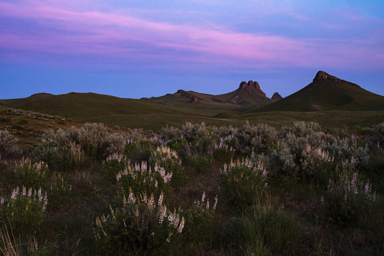 Owyhee River Wilderness Area