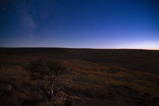Steens Mountain Wilderness