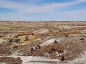 Petrified Forest National Park