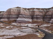 Petrified Forest National Park