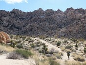 Joshua Tree National Park
