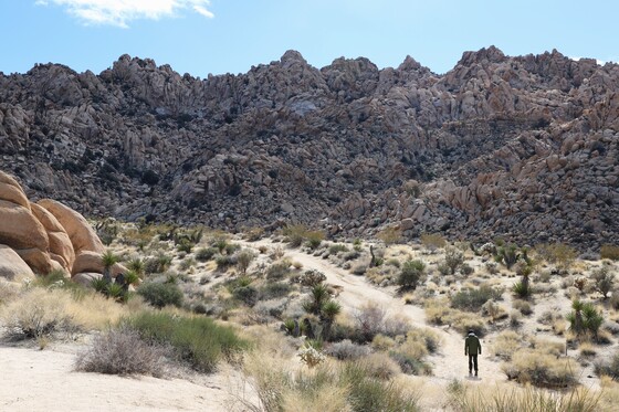 Joshua Tree National Park