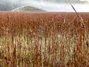 Natchez Trace Parkway 