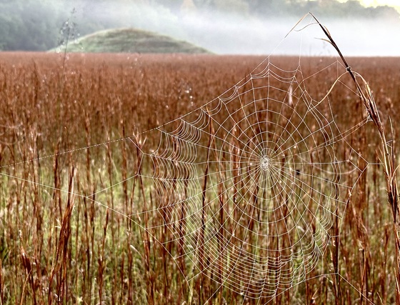 Natchez Trace Parkway 