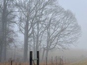 Natchez Trace Parkway 