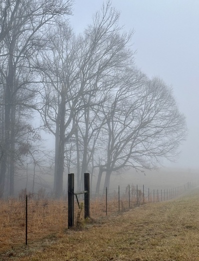 Natchez Trace Parkway 