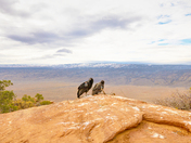 Vermillion Cliffs National Monument