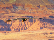 Grand Canyon National Park