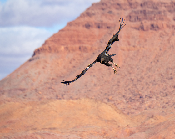 Grand Canyon National Park