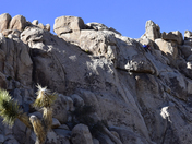 Joshua Tree National Park
