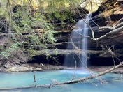 Bankhead National Forest 