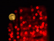Full moon and Christmas lights in St. Stephen, NB.