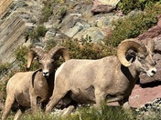 Glacier National Park