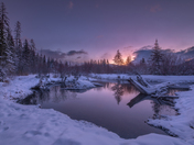 Paddles of Vermillion