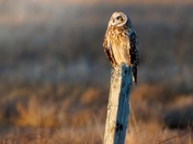 Keep your face towards the light