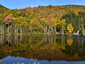 White Mountains National Forest