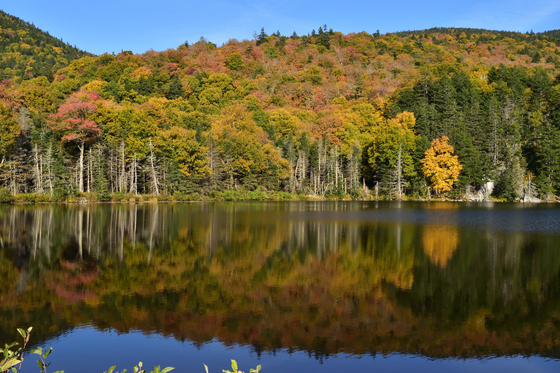 White Mountains National Forest