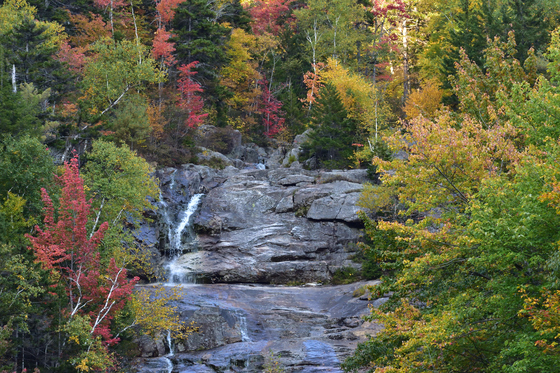 White Mountains National Forest