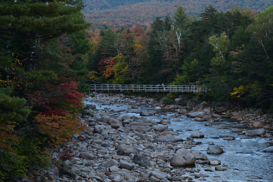 White Mountains National Forest
