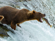 Katmai National Park