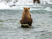 Katmai National Park