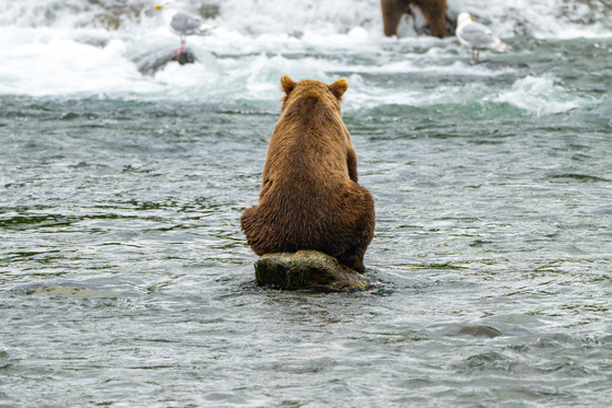 Katmai National Park