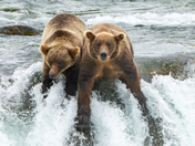 Katmai National Park