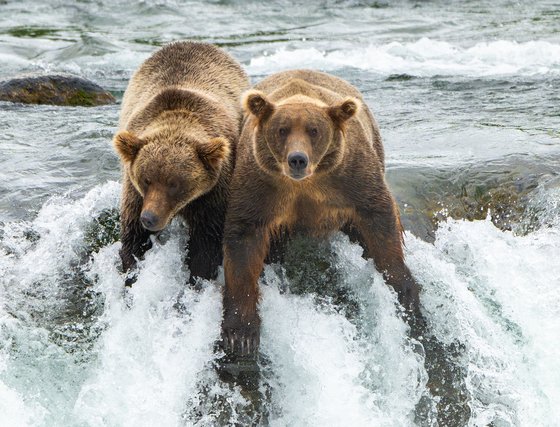 Katmai National Park