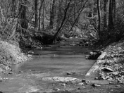 Uwharrie National Forest