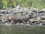 Hells Canyon National Recreation Area