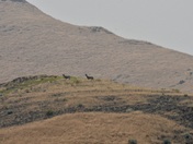 Hells Canyon National Recreation Area