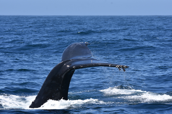 Channel Islands National Park