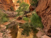 Glen Canyon National Recreation Area