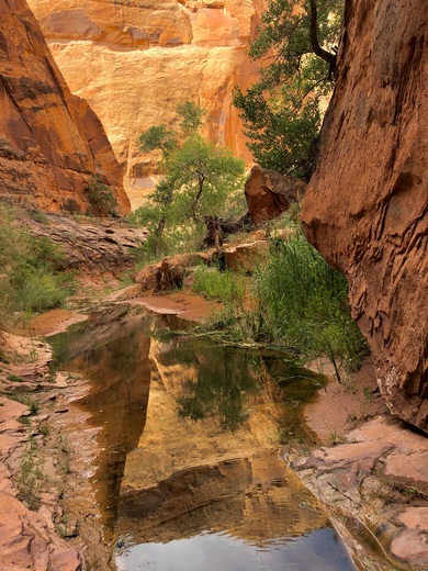 Glen Canyon National Recreation Area