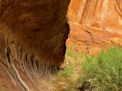 Glen Canyon National Recreation Area