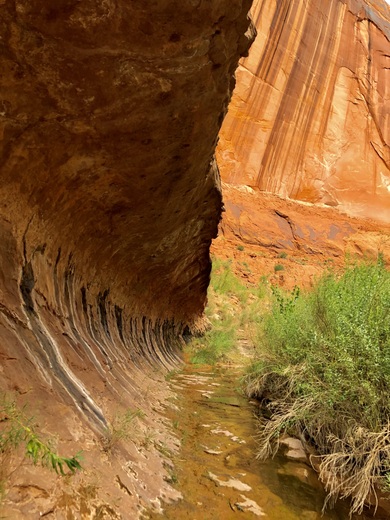 Glen Canyon National Recreation Area