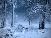 Yosemite National Park