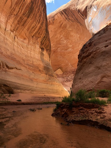 Glen Canyon Nationaal Recreation Area