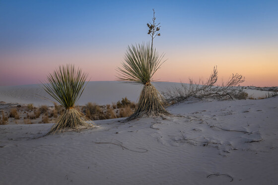 White Sands National Park 