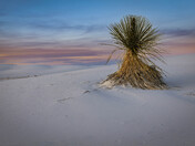 White Sands National Park 