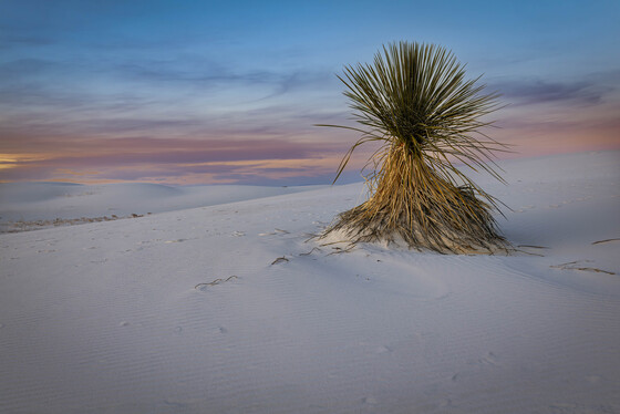 White Sands National Park 